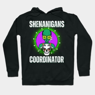 Funny St Patricks Day Hoodie